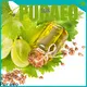 Puraeo massage oil supplier Supply for skin 1