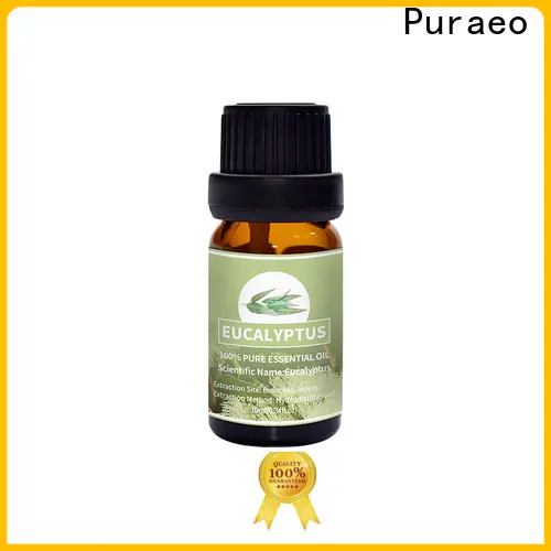 Puraeo pure peppermint oil for business for massage 1