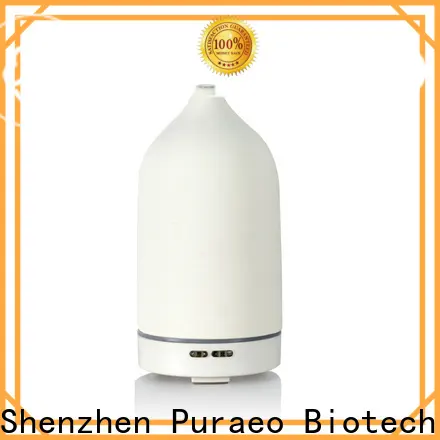 Puraeo best usb diffuser Suppliers 1