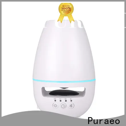 Puraeo Wholesale usb fragrance diffuser for business 1