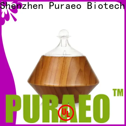 Puraeo mini usb diffuser manufacturers1 1