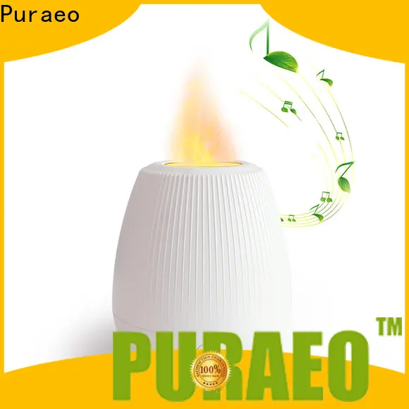 Puraeo Best portable usb aroma diffuser company 1