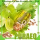 Puraeo High-quality grapeseed oil essential oil company for hair 1