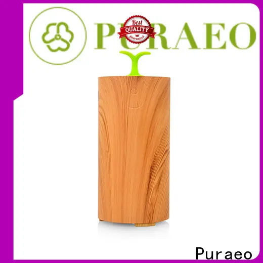 Puraeo Latest best usb essential oil diffuser factory 1