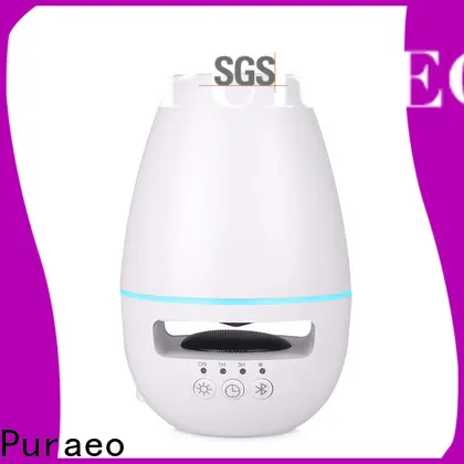 Puraeo usb powered essential oil diffuser for business 1