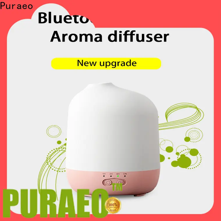 Puraeo High-quality portable usb aroma diffuser for business 1