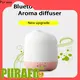 Puraeo High-quality portable usb aroma diffuser for business 1
