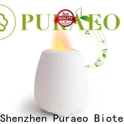 Best usb essential oil diffuser for car company 1