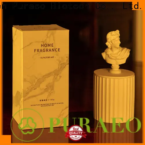 Puraeo good smelling candles for business 1