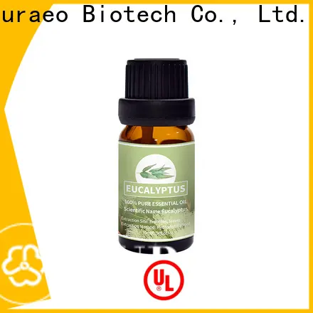 Puraeo peppermint essential oil for headaches Suppliers for massage 1
