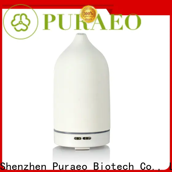 Puraeo Latest usb travel diffuser with essential oils Suppliers 1