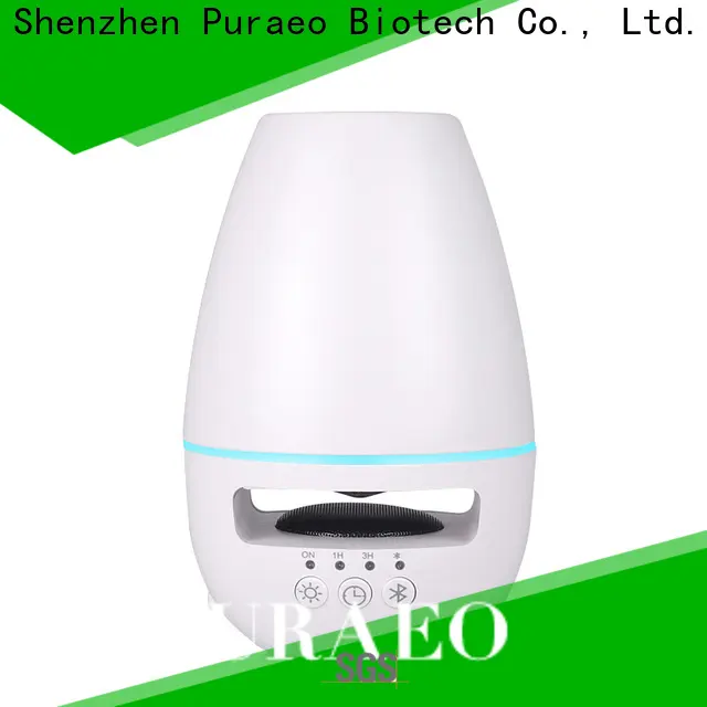 Puraeo Best wholesale electric aromatherapy diffuser factory1 1