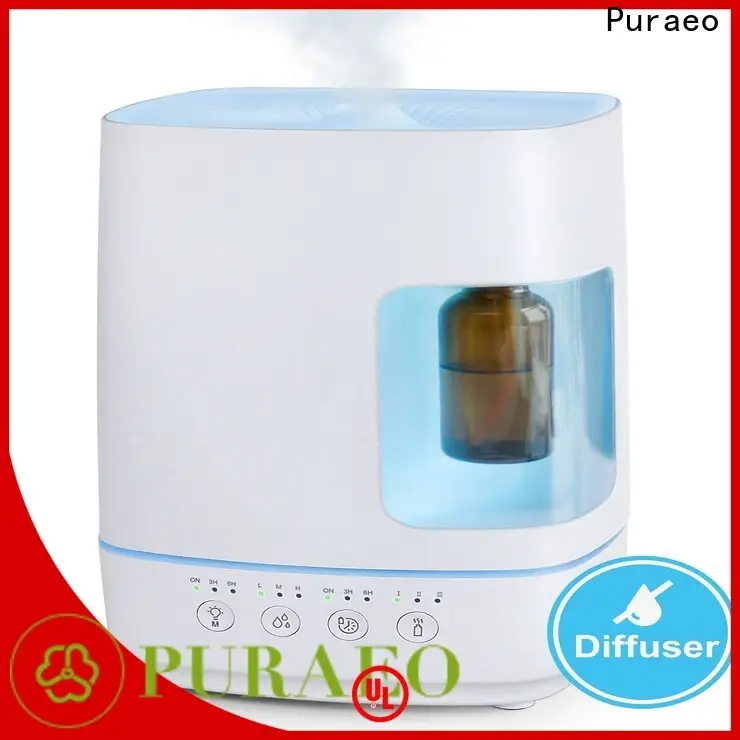 Puraeo Custom mini usb essential oil diffuser Supply 1