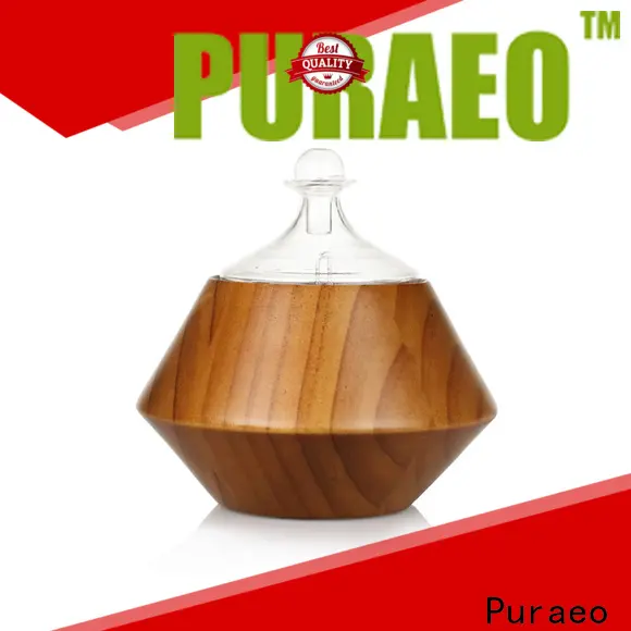 Puraeo usb rechargeable diffuser for business 1