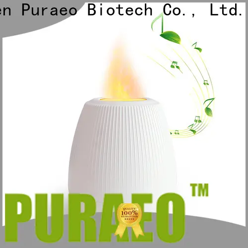 Puraeo mini usb essential oil diffuser factory 1