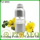 New coconut carrier oil factory for massage 1