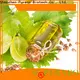 Puraeo best carrier oil for sensitive skin Suppliers for face 1