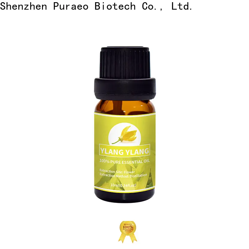 Puraeo High-quality ginger oil manufacturers for hair 1