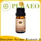 Puraeo tea tree essential oil for face company for massage 1