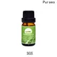 Wholesale rosemary essential oil company for perfume 1