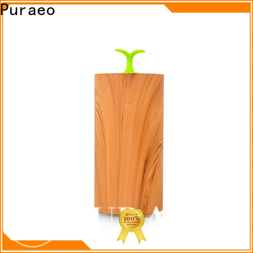 Puraeo Wholesale aroma diffuser wholesale usa company 1