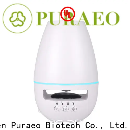 Top portable usb essential oil diffuser manufacturers 1