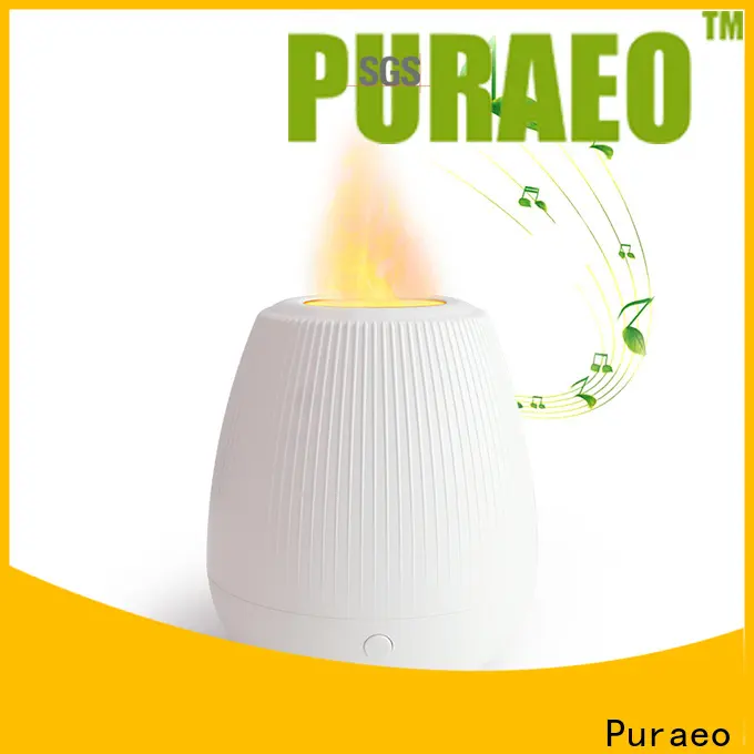 Puraeo Wholesale usb car oil diffuser company 1