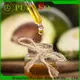 High-quality fractionated coconut oil bulk for business for face 1