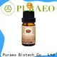 Puraeo Best peppermint essential oil for hair manufacturers for face 1