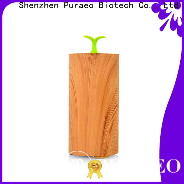 Puraeo Latest mini usb essential oil diffuser company 1