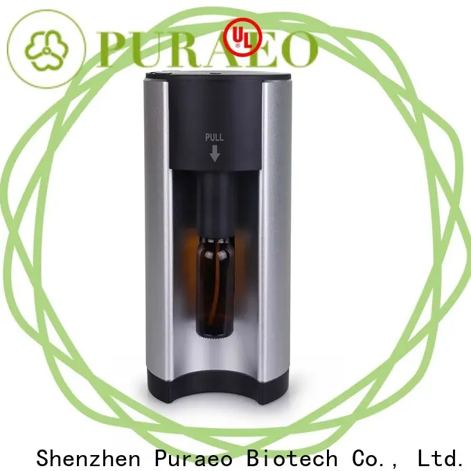Puraeo Latest best usb diffuser factory 1