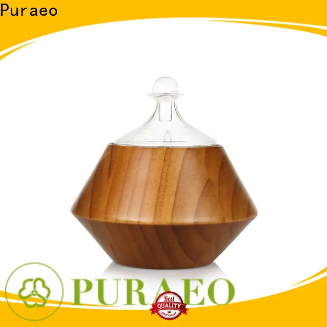 Puraeo Wholesale usb essential oil diffuser for car Suppliers 1