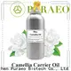 Puraeo Latest jojoba oil essential oil Suppliers for massage 1