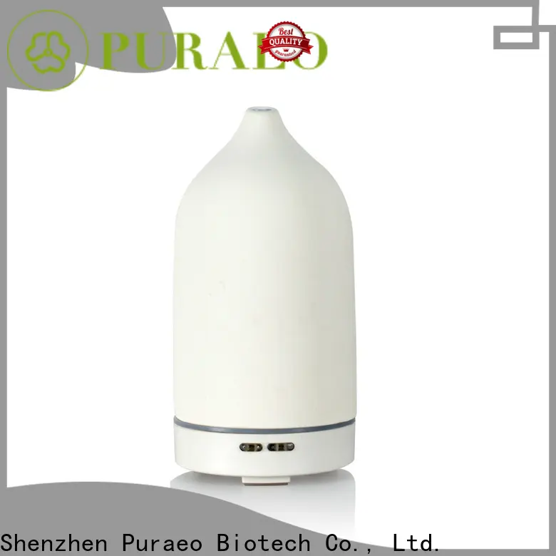 Best usb travel diffuser company1 1