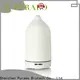 Best usb travel diffuser company1 1