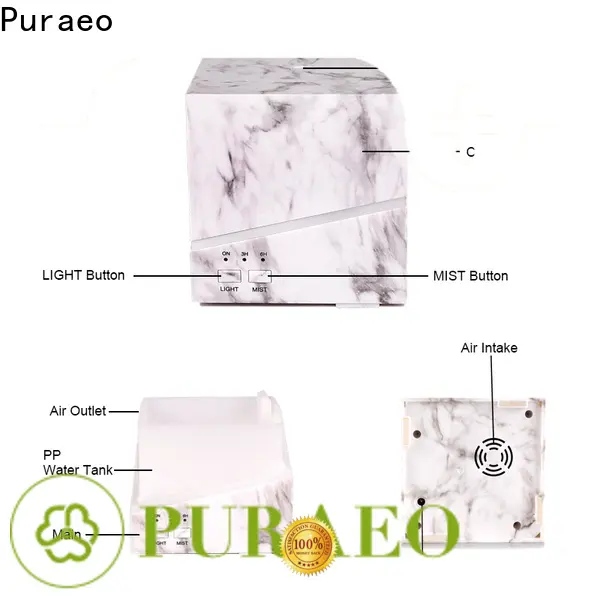 Puraeo portable usb ultrasonic oil diffuser for business 1