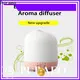 Puraeo portable usb aroma diffuser manufacturers1 1