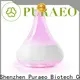 Puraeo portable usb diffuser company5 1