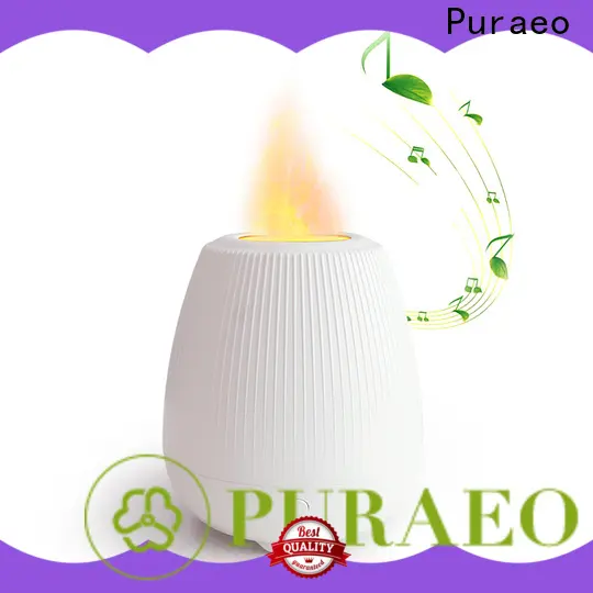 Puraeo Top car essential oil diffuser usb Suppliers1 1