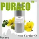 Puraeo bulk sweet almond oil for business for skin 1