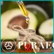 Puraeo Wholesale jojoba oil wholesale distributors factory for skin 1