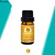 Puraeo organic ginger oil company for skin 1
