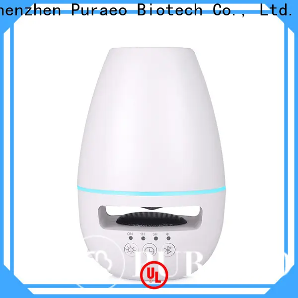 Puraeo High-quality best usb diffuser company 1