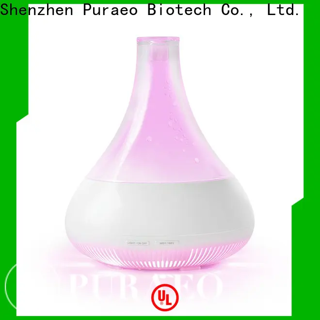 Best usb travel diffuser with essential oils for business 1