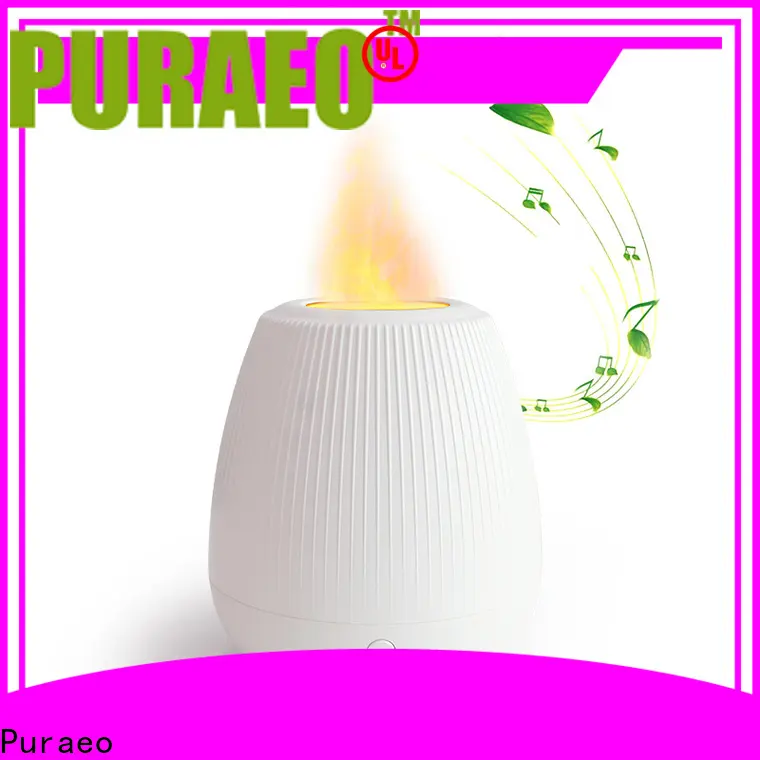 Puraeo usb aromatherapy diffuser for business 1
