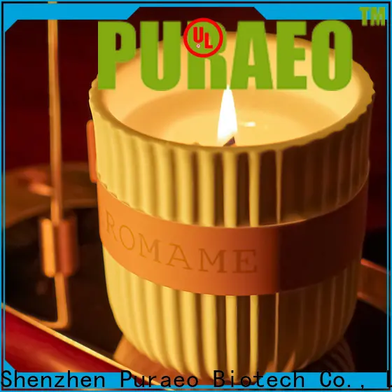Puraeo New best scented candles company 1