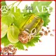 Puraeo carrier oil for face factory for face 1