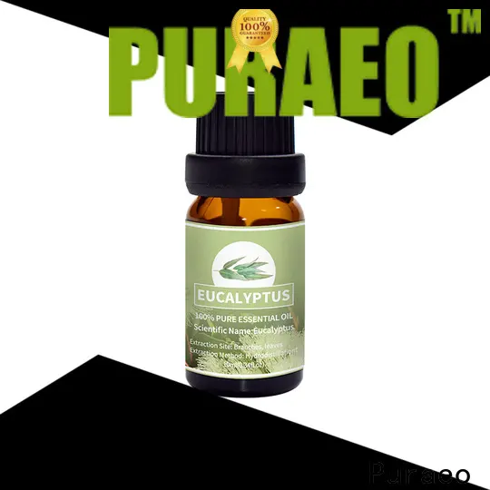 Puraeo organic ginger oil Suppliers for massage 1