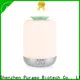 Puraeo aroma diffuser supplier manufacturers 1