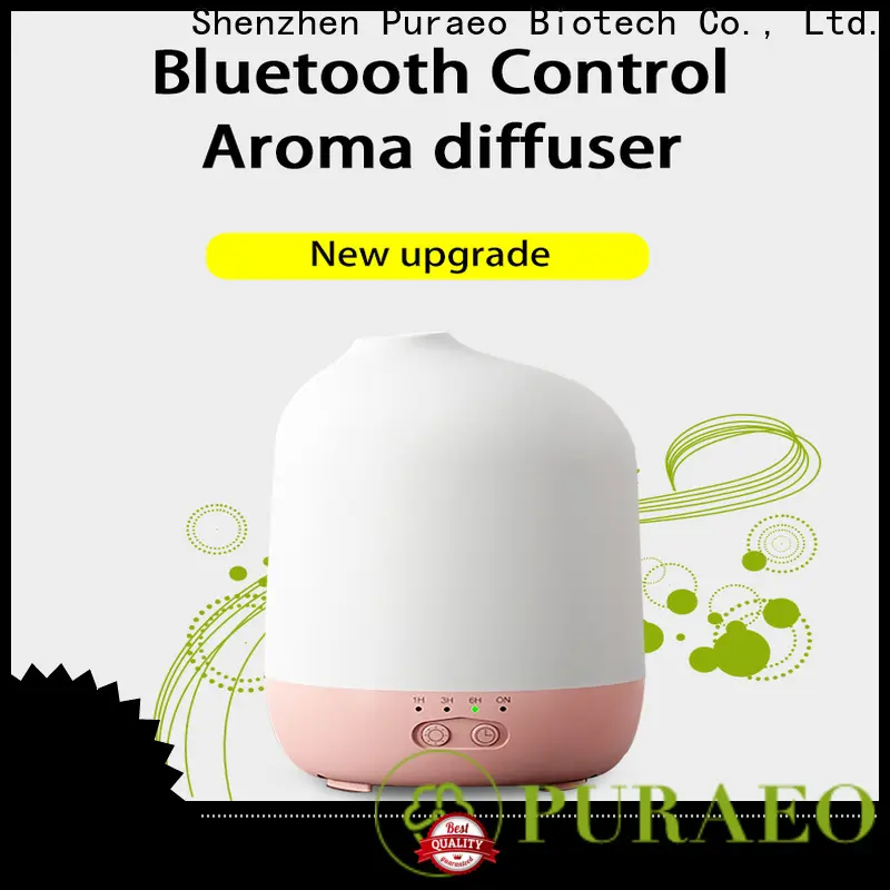Puraeo Latest portable usb aroma diffuser company 1